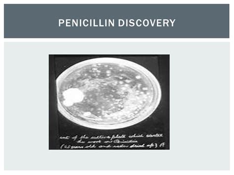 Creator of Penicillin Alexander Fleming.   ppt video ...