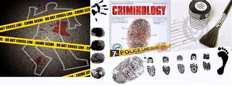 criminologia noticias: crimenes resueltos con ayuda de la ...