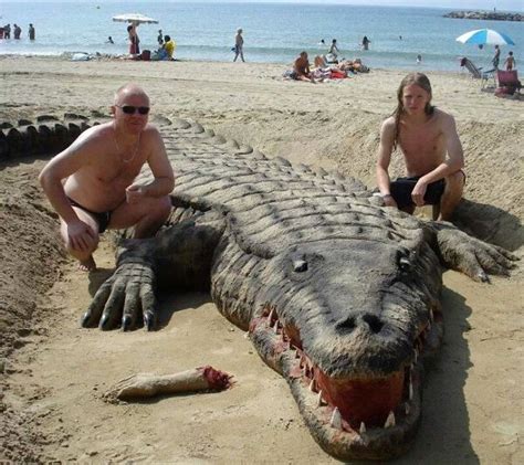 Crocodile de sable géant