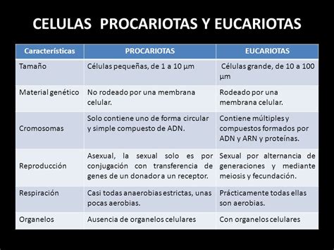 CUADRO COMPARATIVO.   ppt video online descargar