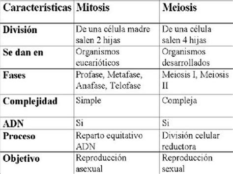 Cuadros comparativos División celular: Mitosis y Meiosis ...