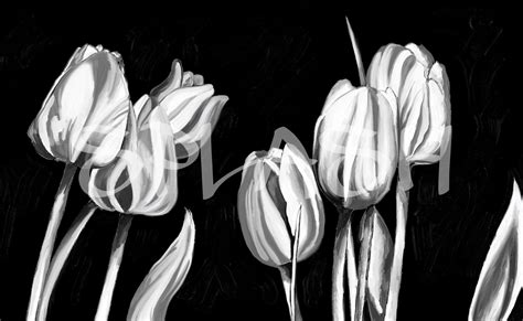 Cuadros de Flores blanco y negro | Tienda de Cuadros Splash