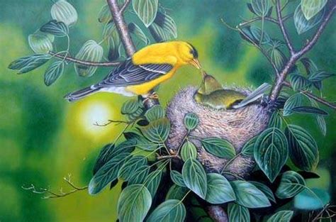 Cuadros Modernos Pinturas y Dibujos : Aves y Pájaros al Óleo