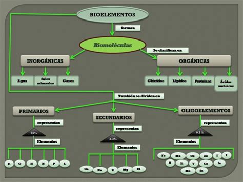 Cuadros sinópticos sobre bioelementos | Cuadro Comparativo