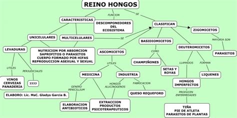 Cuadros sinópticos sobre reino hongo | Cuadro Comparativo