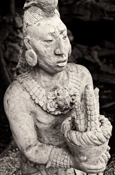 ¿Cuál era la dieta de los mayas en el México prehispánico ...