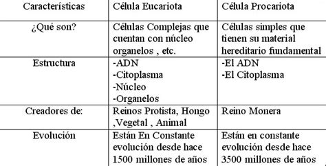 ¿Cuál es la Diferencia entre Célula Eucariota y Procariota?