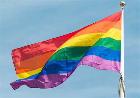 ¿Cuál es la historia de la bandera gay? | CromosomaX