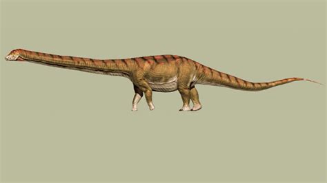 ¿Cuál fue el dinosaurio más grande del mundo?