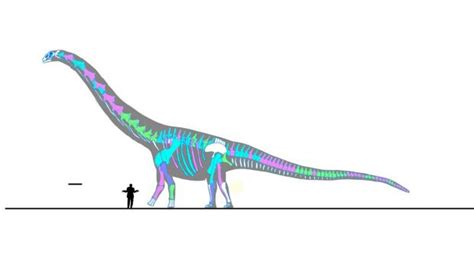¿Cuál fue el dinosaurio más grande del mundo?