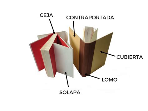 Cuáles son las partes de un libro   Triunfa con tu libro