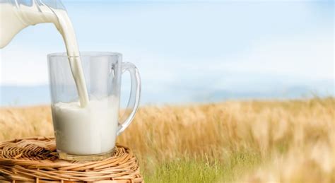 ¿Cuáles son los beneficios de la leche sin lactosa?   Boticana