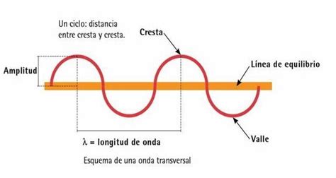 ¿Cuáles son los elementos de una onda? » Respuestas.tips