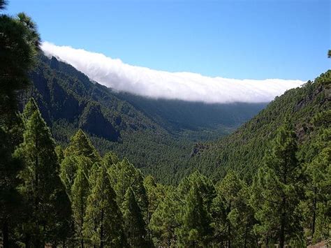 ¿Cuáles son los parques nacionales de las Islas Canarias ...