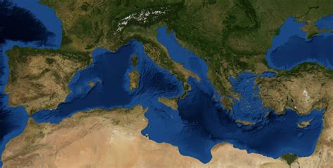 Cuántas especies viven en el mar Mediterráneo y otras ...