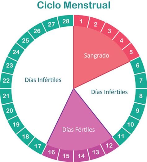 ¿Cuánto cuesta un test de ovulación?   CuantoCuestaWeb.org