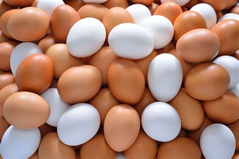 ¿Cuántos huevos podemos comer al día? | No lo sabía!