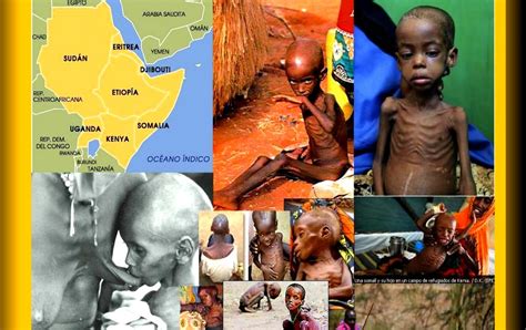 Cuerno de África: las causas del hambre en el mundo ...
