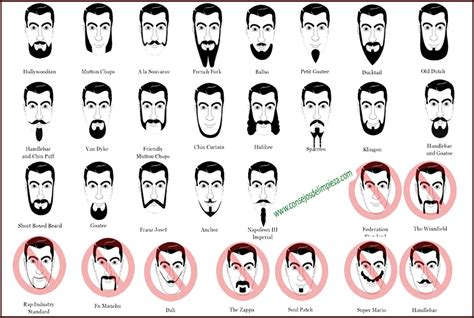 CUIDAR Y MANTENER BIEN ARREGLADA LA BARBA. | CONSEJOS DE ...