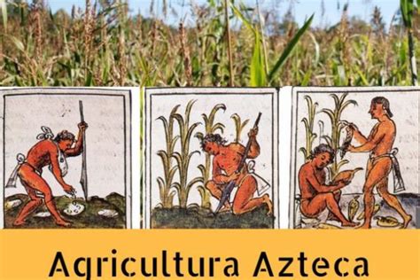 Cultura Azteca: Información y Legado de la Civilización Azteca