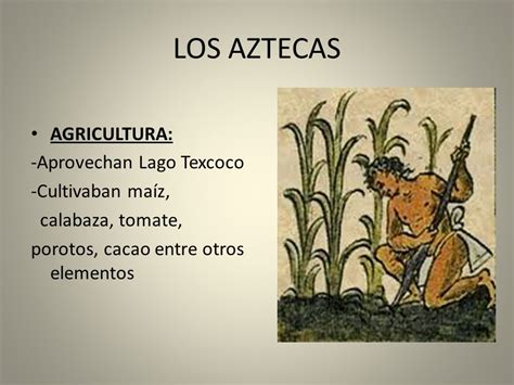 Culturas precolombinas   ppt video online descargar
