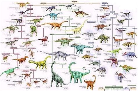Curiosidades de Dinosaurios ¿Cuantos Dinosaurios ...