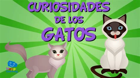 Curiosidades de los Gatos | Videos Educativos para Niños ...