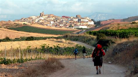 Curiosidades del Camino de Santiago   turismo.navarra.com