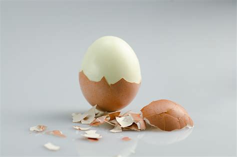 Curiosidades sobre el huevo | Huevos Camacho – Granja San ...