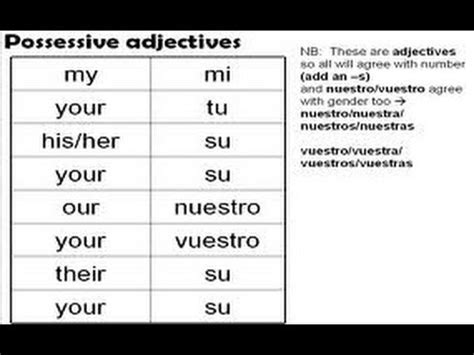 Curso Basico De Ingles: Pronombres Posesivos En El Ingles ...