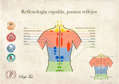 CURSO COMPLETO DE REFLEXOLGÍA PODAL – Centro Personality ...