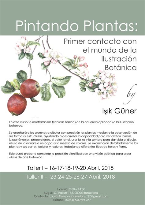 Curso de arte botánico con Işık Güner | ByBotany arte ...
