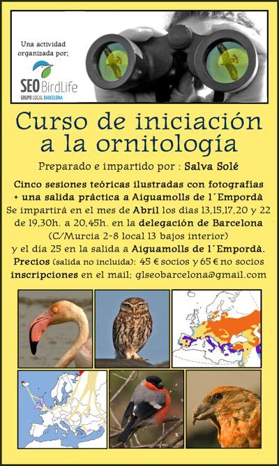 Curso de iniciación a la ornitología 2015   GL SEO Barcelona