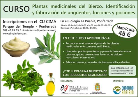 Curso de “Plantas Medicinal del Bierzo” 2016 – PonferradaHoy