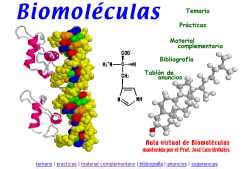 Curso de Verano Quimica II: Unidad III   Biomoleculas