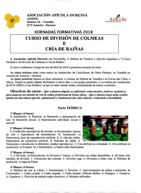 CURSO DIVISIÓN DE COLMENAS Y CRÍA DE REINAS  Amoeiro, Ourense
