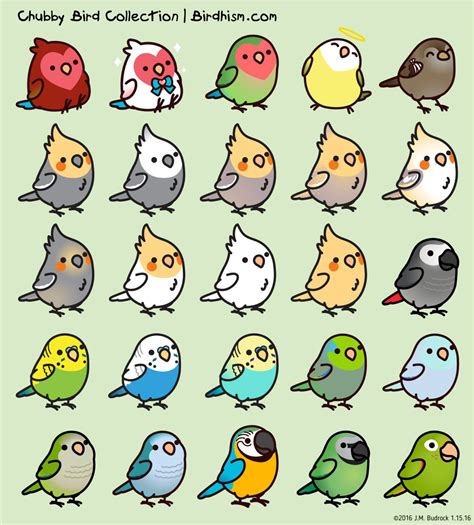 Custom Chubby Bird Sticker Package by Birdhism on Etsy ...