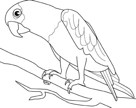 Cute Bird Coloring Pages   Free Printable Pictures ...