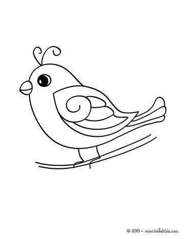 Cute bird coloring pages   Hellokids.com