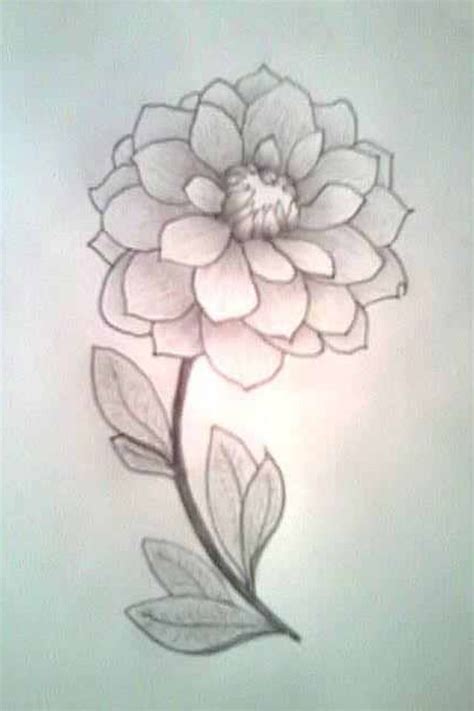 Cute but simple flower drawing | Drawings/Stencils/Pics ...