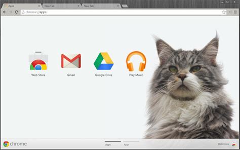 Cute Cat Theme   Chrome Web Store