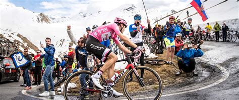 Cycling Tour Experts   Giro d Italia   Lake Como/Stelvio ...