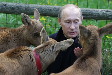 Datoteka:Putin animals.jpeg – Wikipedija