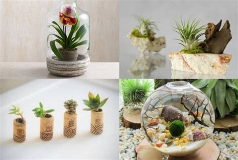 + de 20 bonitas maneras de decorar tu casa con plantas de ...
