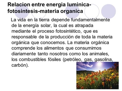 De Energía Lumínica a Energía Química: Fotosíntesis   ppt ...