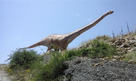 De minerales y fósiles: Dinosaurios en Soria