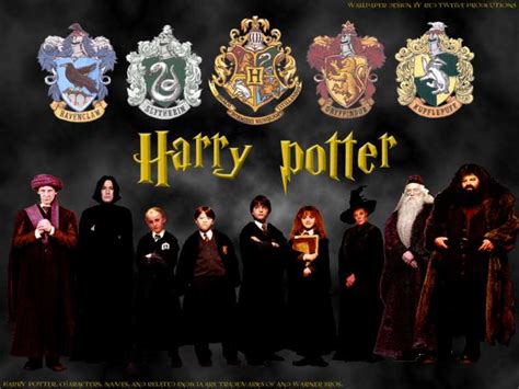 De Todo, La magia de Harry Potter no termina