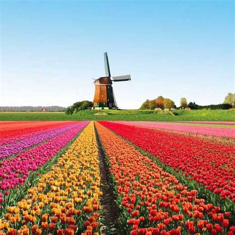 De top 5 leukste dorpen van Nederland