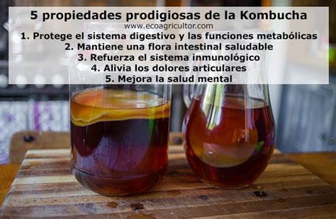 ¿Deberías estar bebiendo Kombucha caca día? | ECOagricultor