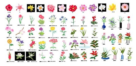 Decide que tipos de flores   Floricultura LTBB